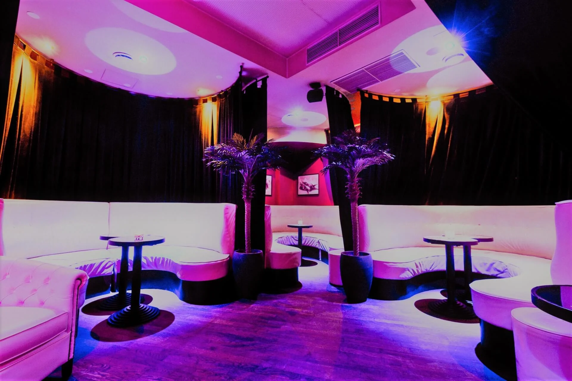 Eine moderne Lounge mit geschwungenen weißen Sofas, runden Tischen, getopften Palmen und farbenfroher lila- und rosafarbener Beleuchtung, die eine lebendige und stilvolle Atmosphäre schafft.