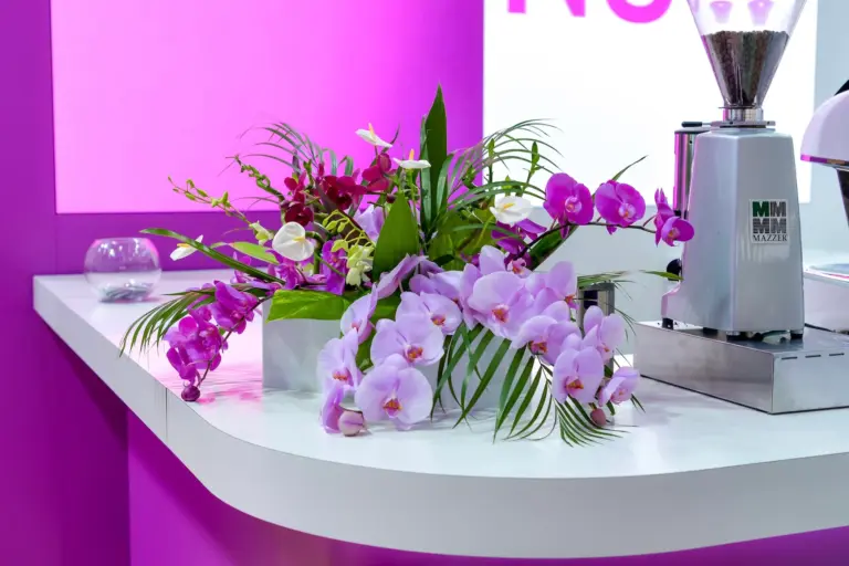 Blumenkultur Hitzler Eine weiße Arbeitsplatte mit einem farbenfrohen Blumenarrangement aus violetten, rosa und weißen Orchideen neben einer Kaffeemühle aus Metall vor einem leuchtend rosa-weißen Hintergrund.