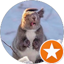 Lisa profile picture