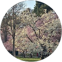 Na Nu Na Ni profile picture