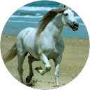 Profilbild von „Cornelia R.“