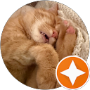 Profilbild von „D. V.“