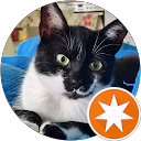 Elisabeth S. profile picture