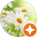 Beate profile picture