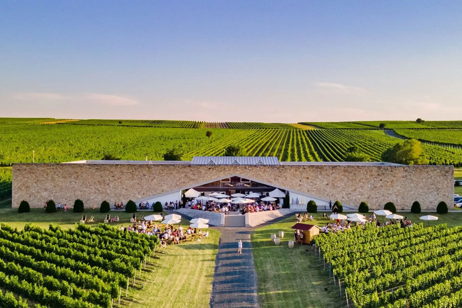 Ein modernes Kellereigebäude mit Steinfassade steht inmitten üppig grüner Weinberge. Die Menschen sitzen an Tischen im Freien unter Sonnenschirmen und genießen das sonnige Wetter. Ordentlich aufgereihte Weinreben erstrecken sich über sanfte Hügel unter einem klaren blauen Himmel.