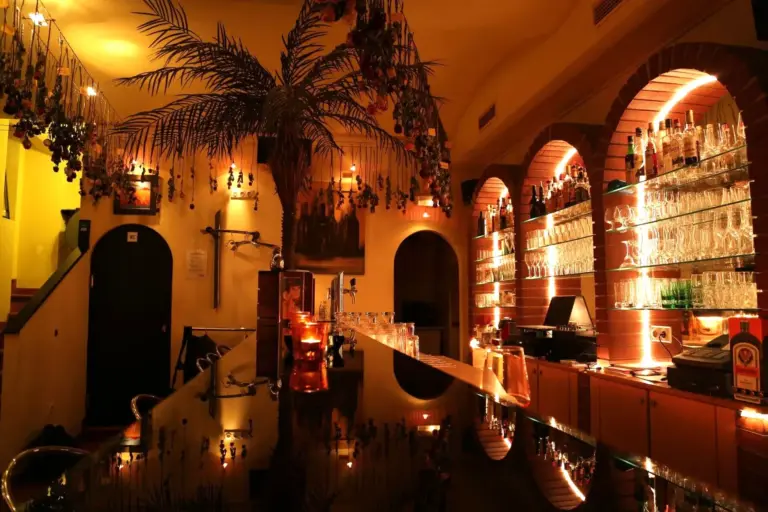 Die schummrige Bar im El fuego Wien mit ihrer warmen, gelben Beleuchtung, den von der Decke hängenden Zierpflanzen, den gewölbten Regalen mit Flaschen und Gläsern und der glatten, spiegelnden Arbeitsplatte schafft eine gemütliche, einladende Atmosphäre.