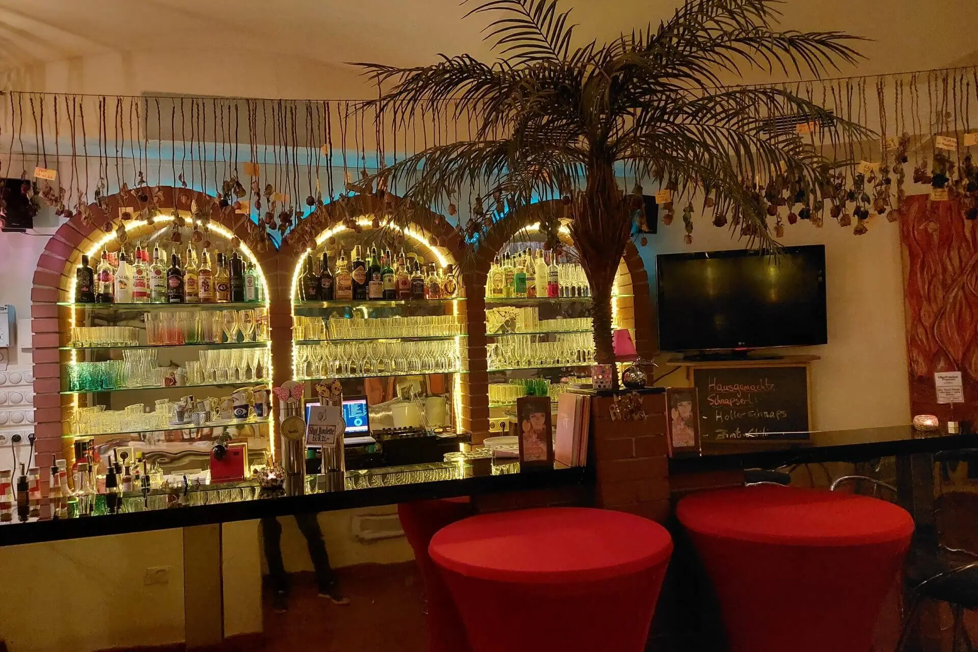 Eine gemütliche Bar mit beleuchteten, gewölbten Regalen mit Flaschen und Gläsern, einer Palme als Dekoration, zwei rot gedeckten runden Tischen im Vordergrund und einem an der Wand befestigten Fernseher und einer Kreidetafel als Speisekarte im Hintergrund.