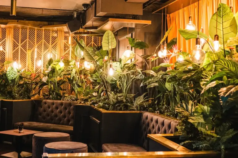Eine stilvolle Lounge mit schwarzen, kapitonierten Sofas, runden Tischen, üppigen Grünpflanzen, hängenden Glühbirnen und goldenen Akzenten, die eine gemütliche und moderne Atmosphäre schaffen.
