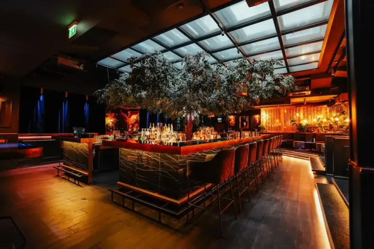 Hannelore Bar Eine stilvolle Bar mit einer großen Theke in der Mitte, umgeben von hohen Stühlen, gedämpfter Beleuchtung, grünen Zweigen über der Theke und ordentlich aufgereihten Flaschen; moderne, gemütliche Atmosphäre.