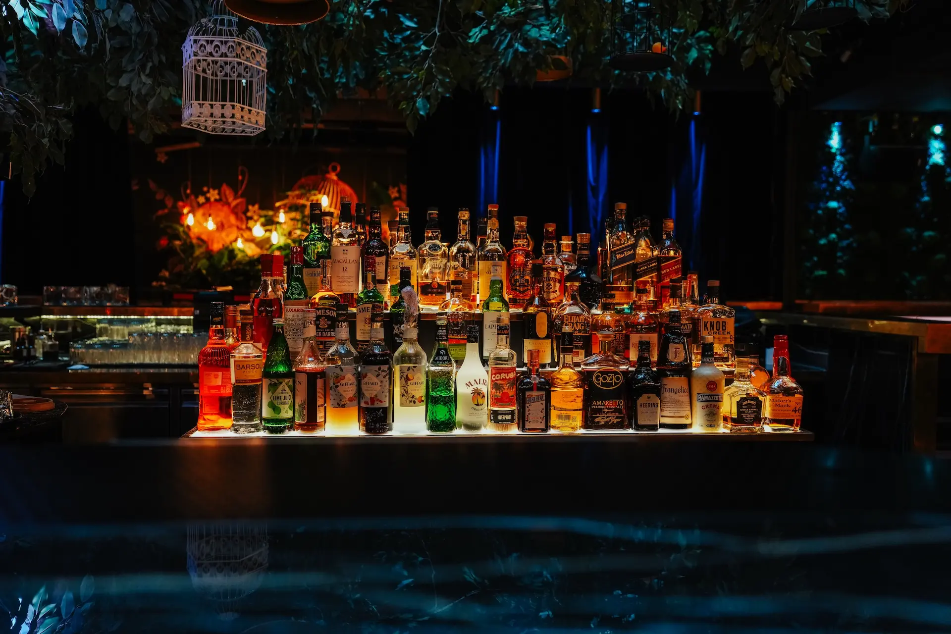 Auf einer hinterleuchteten Theke in einer gedämpft beleuchteten, gehobenen Bar, vor deren Hintergrund sich Pflanzen und eine warme Beleuchtung befinden, sind verschiedene Spirituosenflaschen angeordnet.