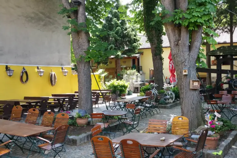 Außencafé mit leeren Holztischen und -stühlen auf einer Steinterrasse, die von großen Bäumen beschattet wird und von Grünflächen und gelben Gebäuden umgeben ist. Blumentöpfe und Dekorationen tragen zu einer gemütlichen, einladenden Atmosphäre bei.