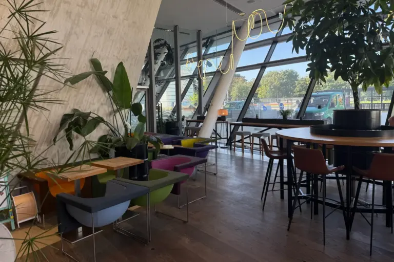 Modernes Innencafé mit farbenfrohen Stühlen, Holztischen, Topfpflanzen und großen, bodentiefen Fenstern, die natürliches Licht hereinlassen. Durch die Glasscheiben sind Grünflächen und geparkte Fahrzeuge zu sehen.