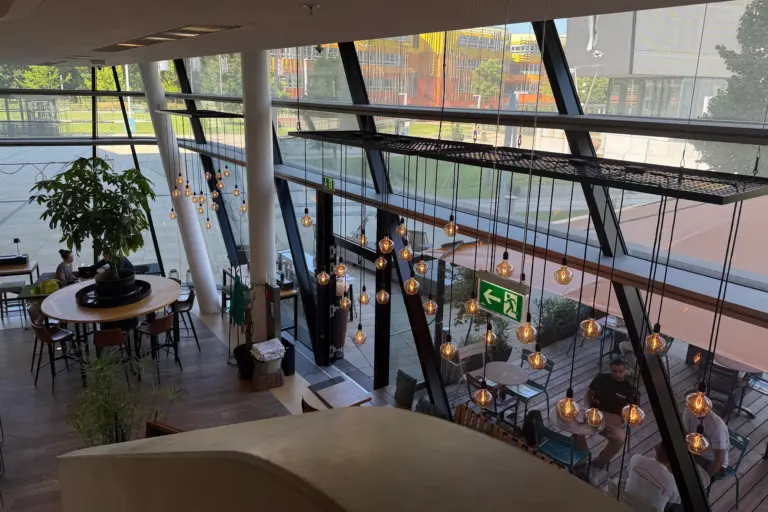 Modernes Innencafé mit großen Fenstern, hängenden Glühbirnen, Pflanzen und Menschen, die an Tischen sitzen. Das Sonnenlicht strömt herein, und ein grünes Ausgangsschild ist sichtbar. Durch die Fenster sind Sitzgelegenheiten im Freien und eine Rasenfläche zu sehen.