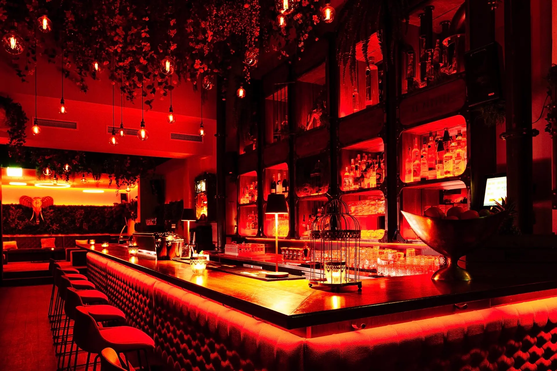 Moridal Bar, Graz, Eine stilvolle, moderne, mit roten Lichtern beleuchtete Bar mit einem langen, gepolsterten Bartresen, der mit Hockern, Gläsern, Flaschen in Regalen und darüber hängenden Pflanzen ausgestattet ist, schafft eine warme, einladende Atmosphäre.