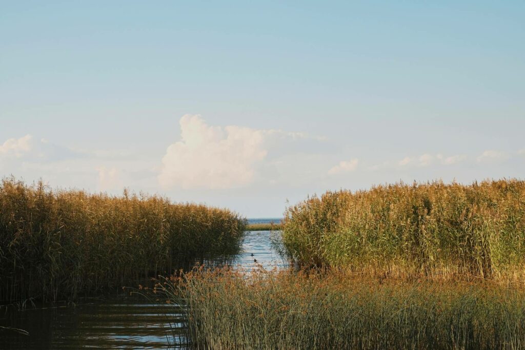 Neuer Strand_Neusiedler See_Wo Feiern