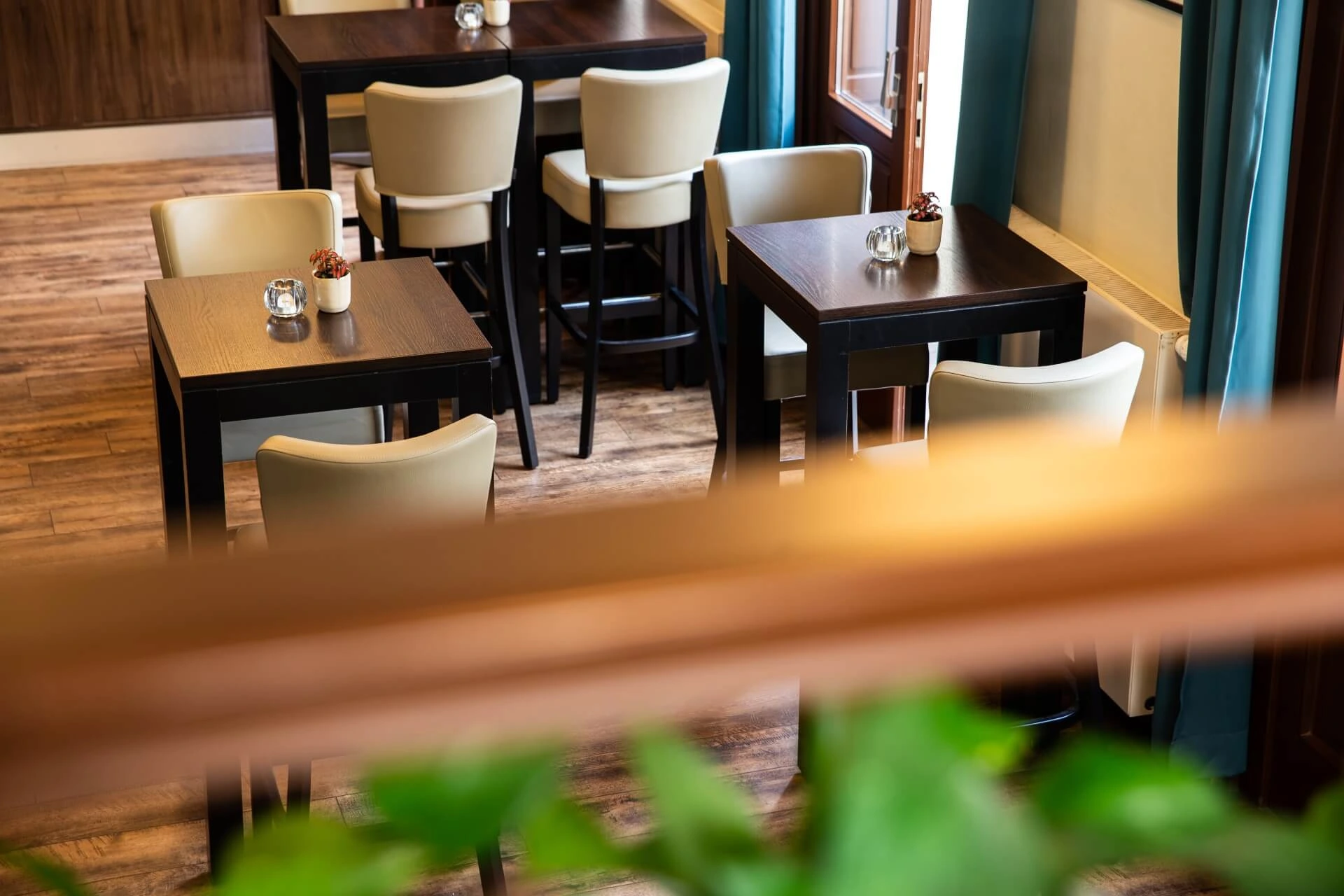 Ein gemütliches, modernes Café mit leeren dunklen Holztischen, cremefarbenen Stühlen, kleinen Topfpflanzen und natürlichem Licht, das durch große Fenster fällt. Im Vordergrund ist eine unscharfe grüne Pflanze zu sehen.