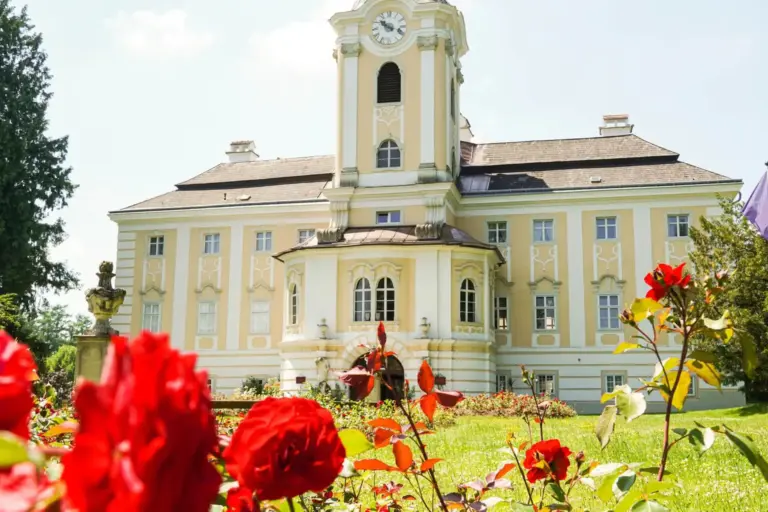 Ein gelbes und weißes historisches Gebäude mit einem Uhrenturm, betrachtet von einem Garten mit leuchtend roten Rosen im Vordergrund. Die Szene ist hell und sonnig.