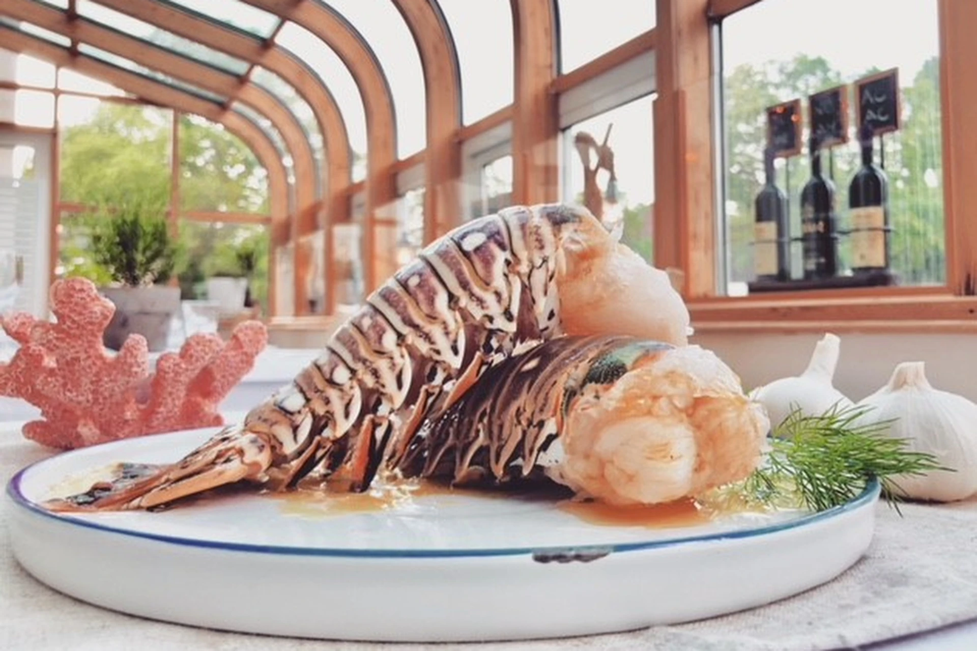 Zwei rohe Hummerschwänze liegen auf einem weißen Teller mit Kräutern, Knoblauch und einer rosafarbenen Korallenverzierung daneben. Im Hintergrund ist ein sonnendurchfluteter Raum mit großen Fenstern und Weinflaschen auf einem Regal zu sehen.