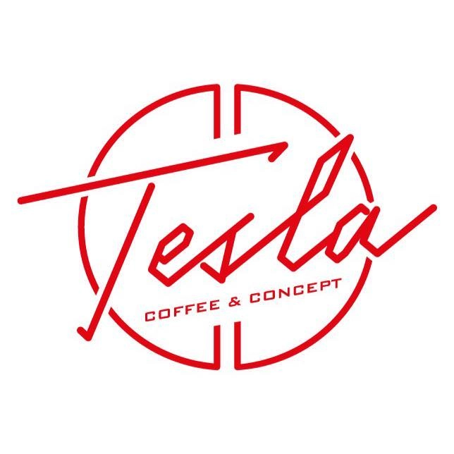 Tesla Private Logo WO FEIERN