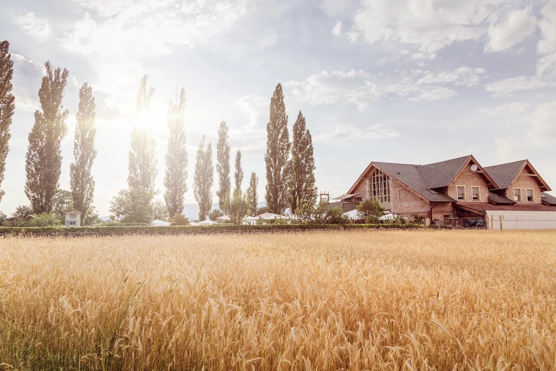 Vor einem großen Holzhaus mit schrägem Dach erstreckt sich ein goldenes Weizenfeld. Hinter dem Haus stehen hohe Bäume in einer Reihe unter einem teilweise bewölkten Himmel, durch den das Sonnenlicht fällt.
